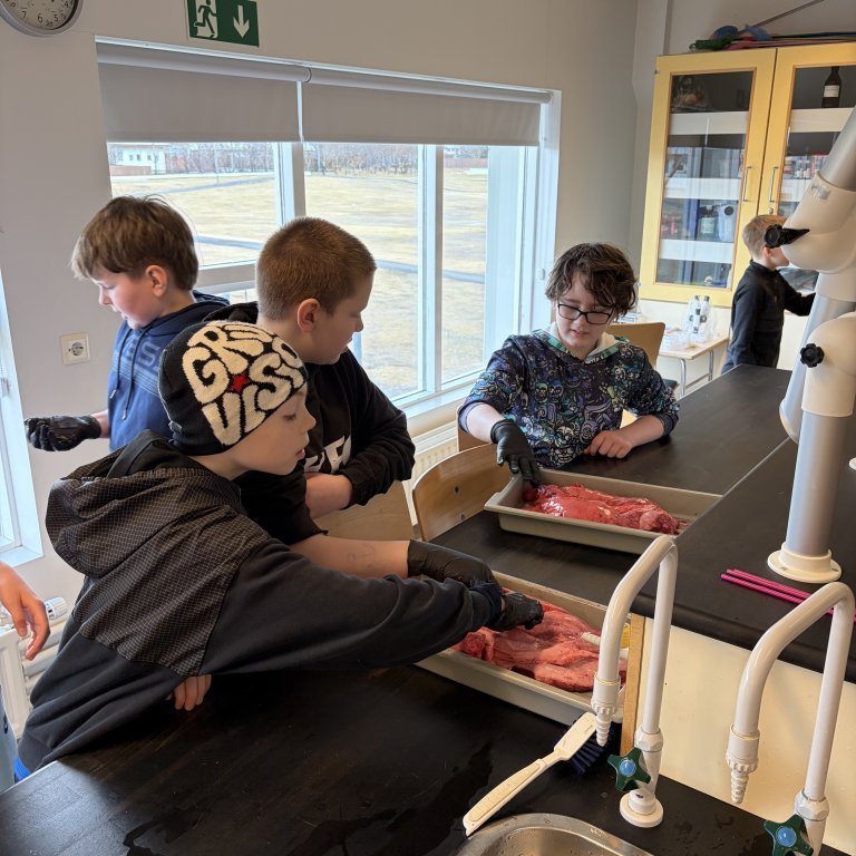 image-20260408-125524-c95beb22