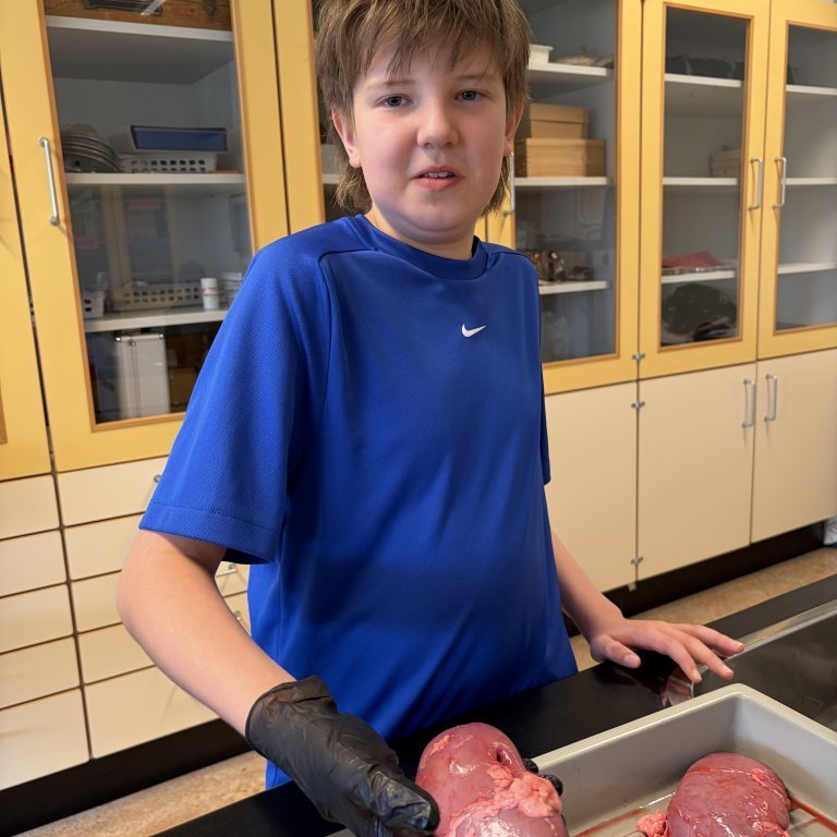 image-20260408-125958-6a47a534