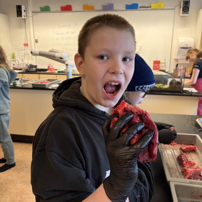 image-20260408-130010-43c06230