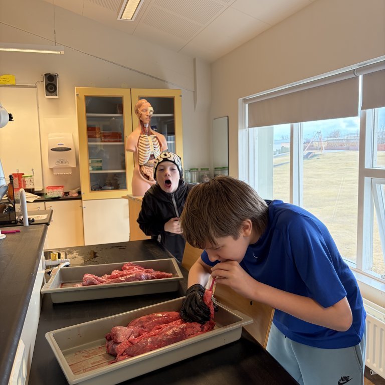 image-20260408-130031-96774737