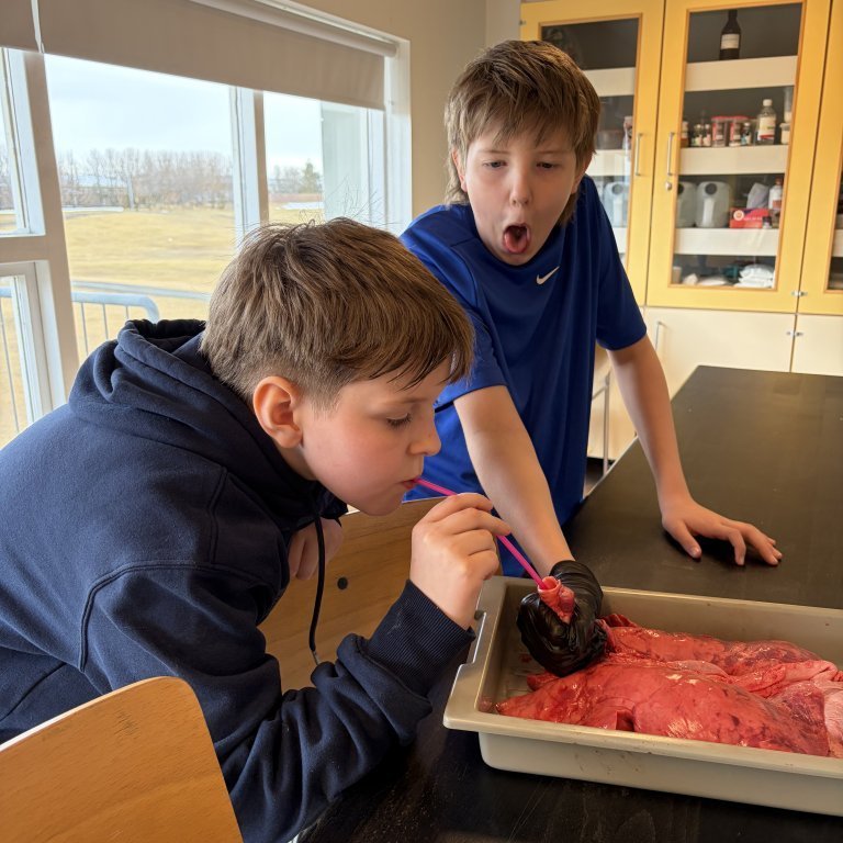 image-20260408-130107-a2577914