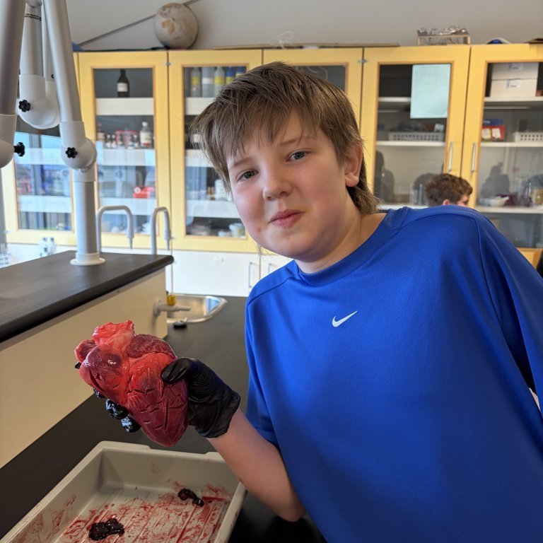 image-20260408-130133-b2e2abed