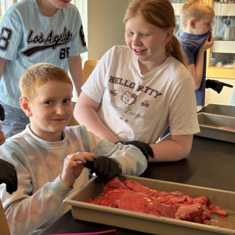 image-20260408-132458-398ca972