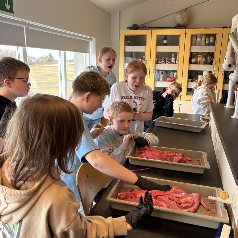 image-20260408-132509-2111d5af