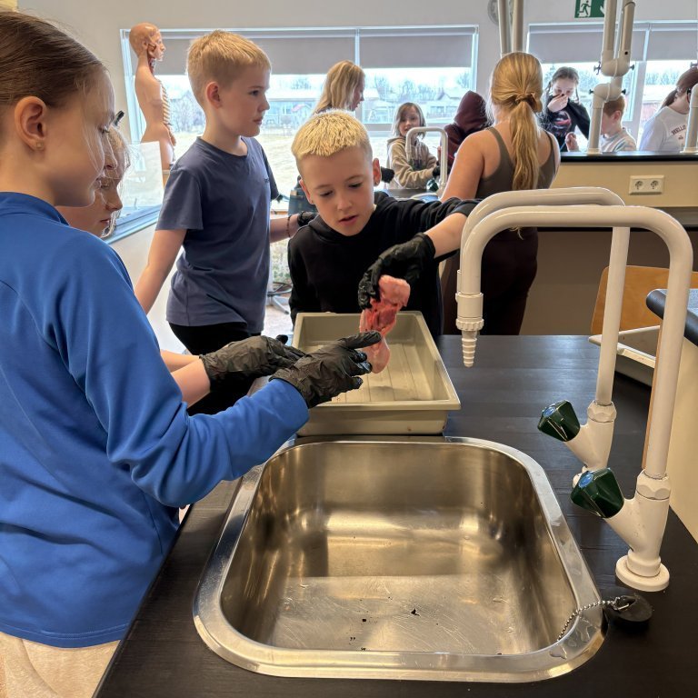 image-20260408-132556-acab7cad