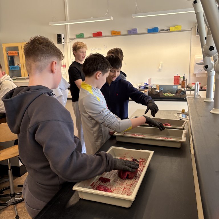 image-20260408-135406-15040ddc