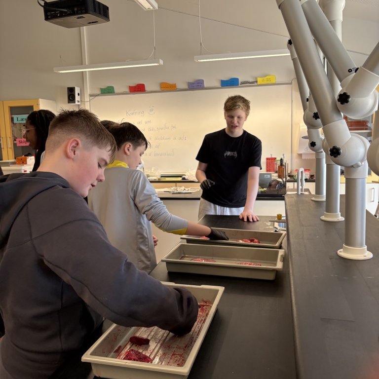 image-20260408-135408-fc8eed91