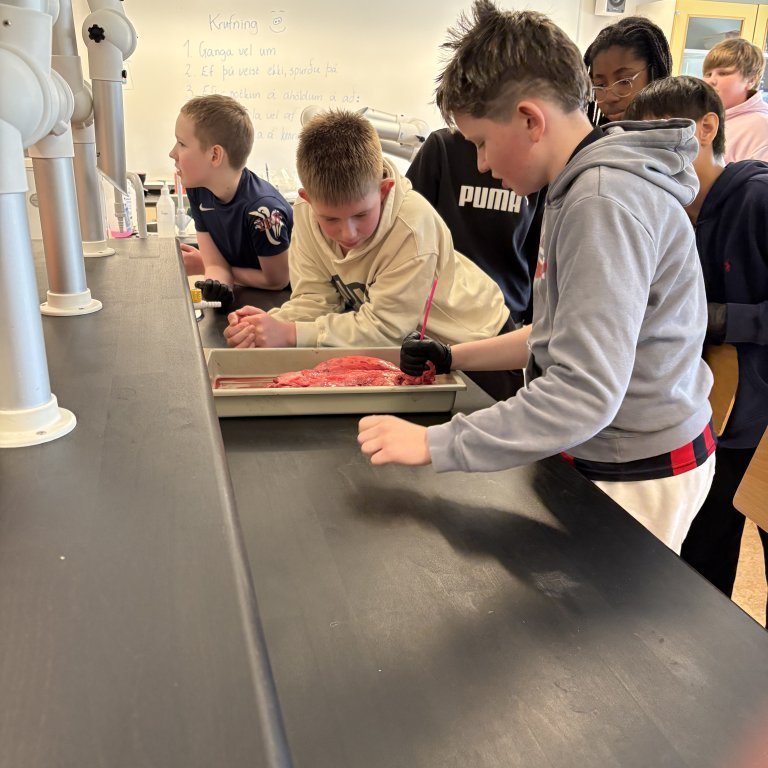 image-20260408-135419-d9649b69