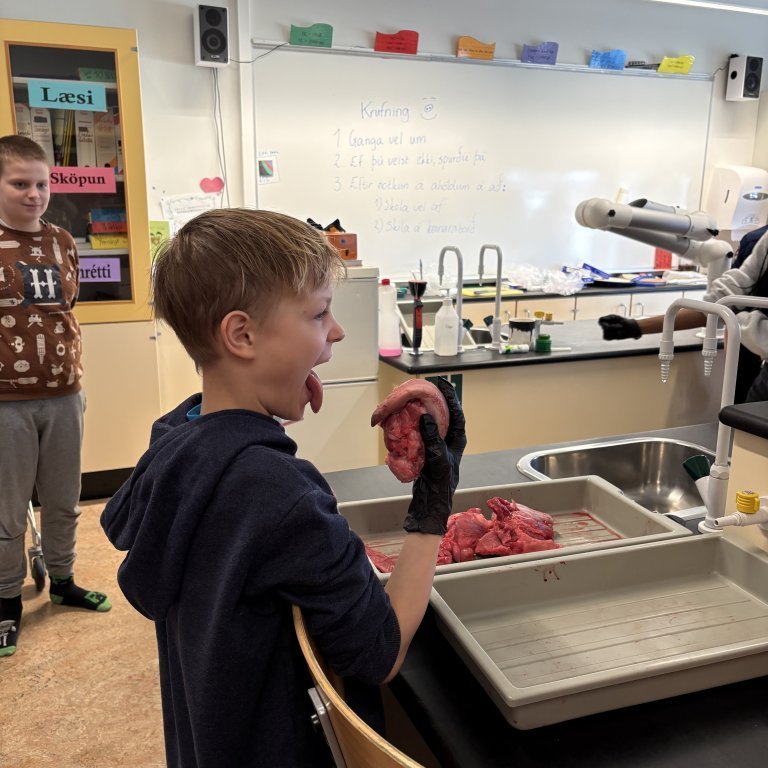 image-20260408-135433-e3bdd2ec