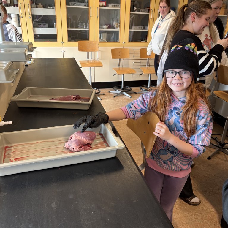 image-20260409-091129-ea8f8e16