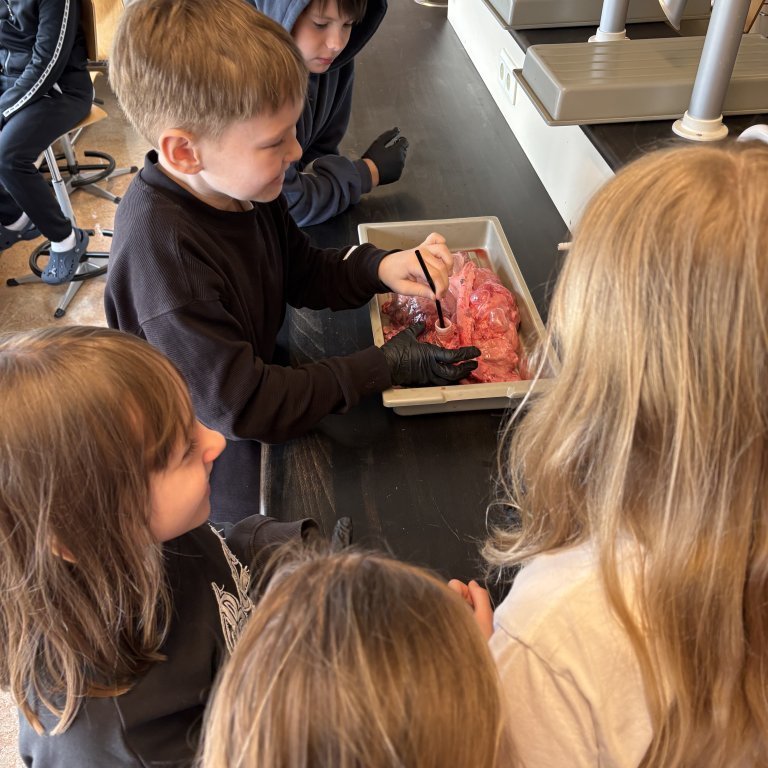 image-20260409-110012-934e1913