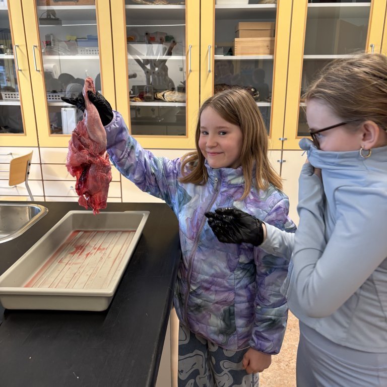 image-20260409-110053-db4a25f1