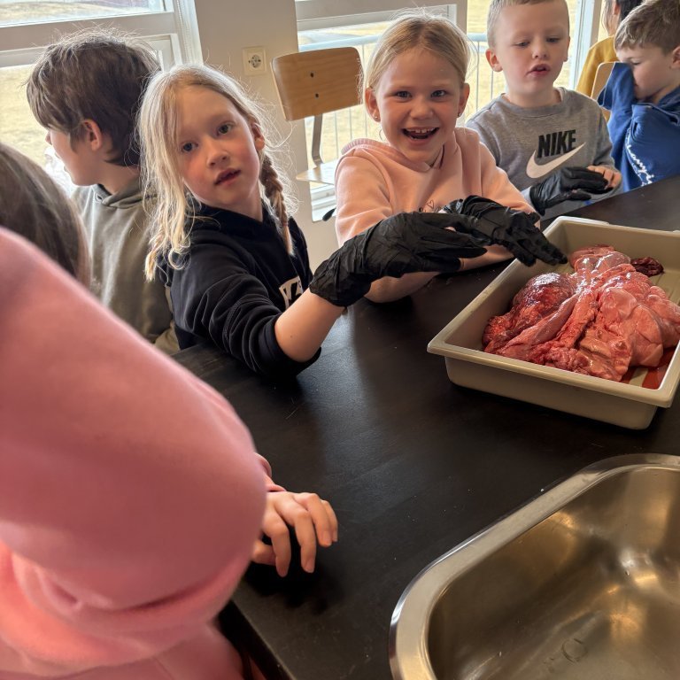 image-20260409-124918-90cd5b4d