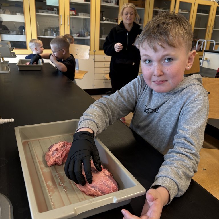 image-20260409-124921-311d1cdf