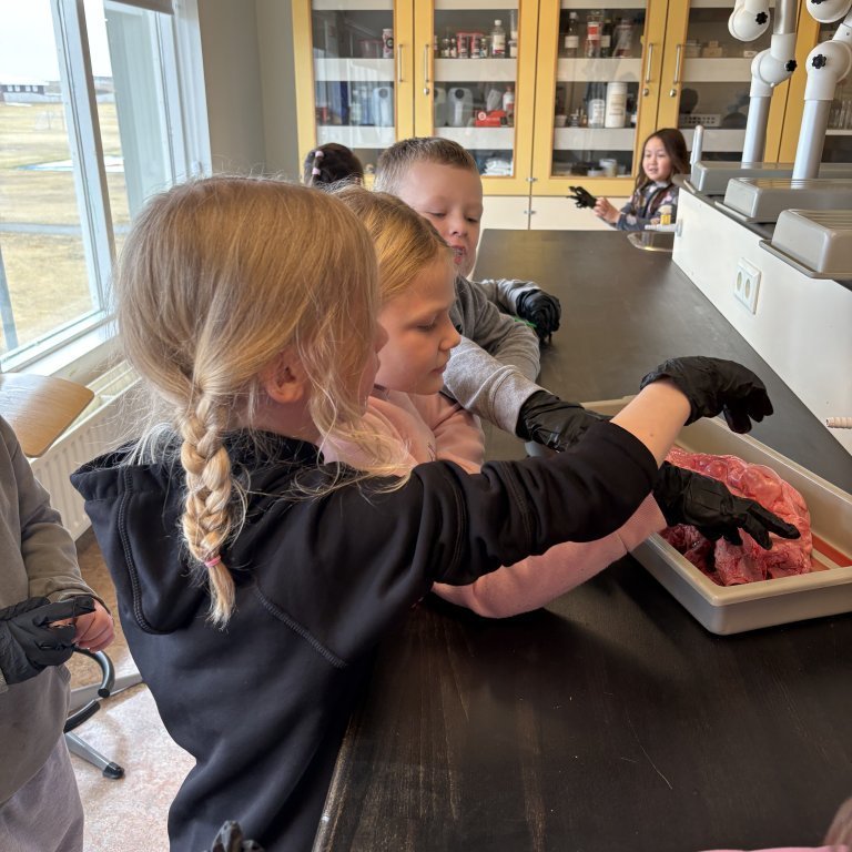 image-20260409-124928-f6d789c7