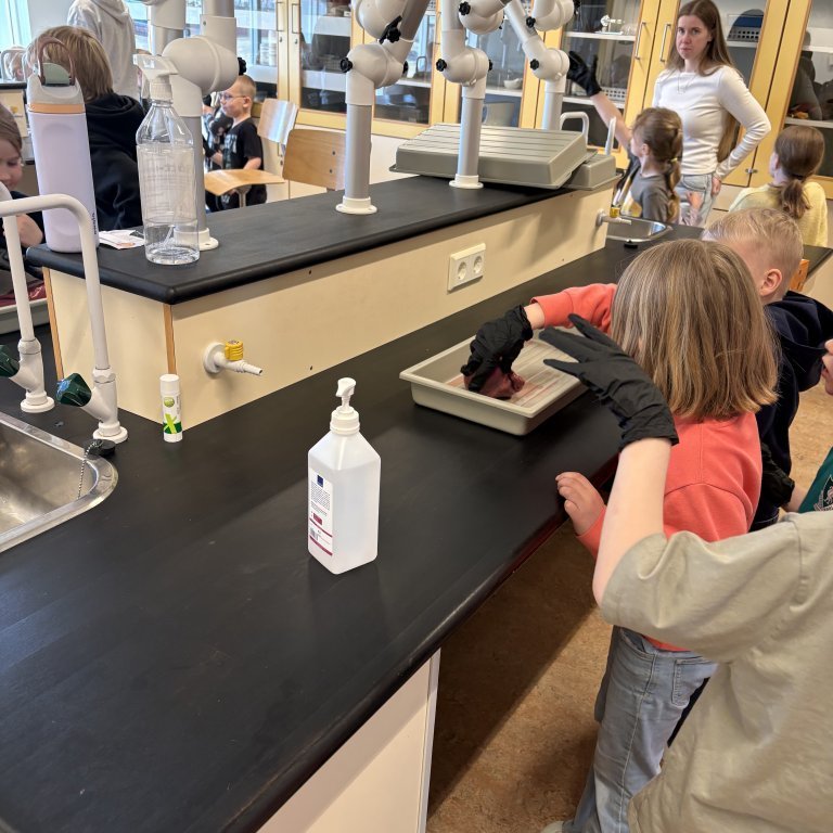 image-20260409-124946-162c9a66