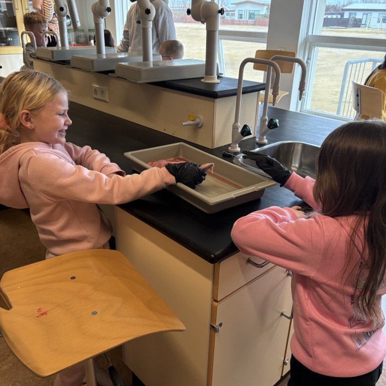 image-20260409-125006-72792711