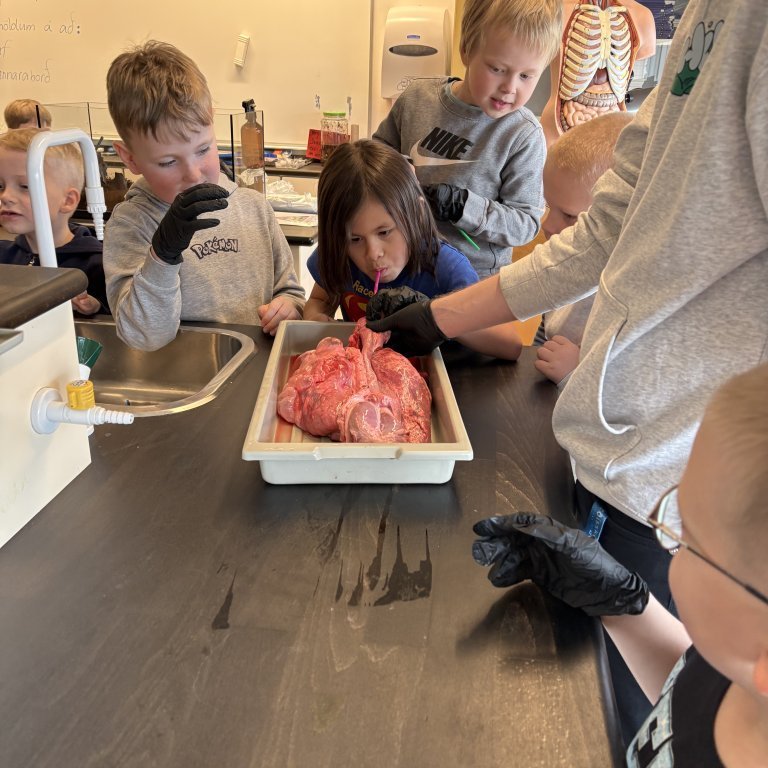 image-20260409-125017-6e56b95b