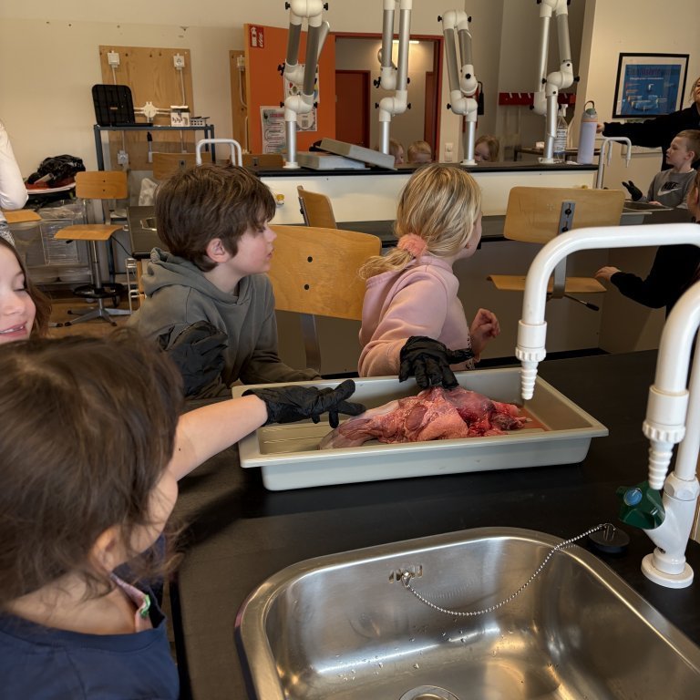 image-20260409-125030-e1f7b48e