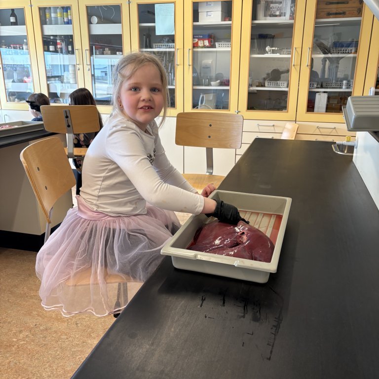 image-20260409-125114-78ea4fb3