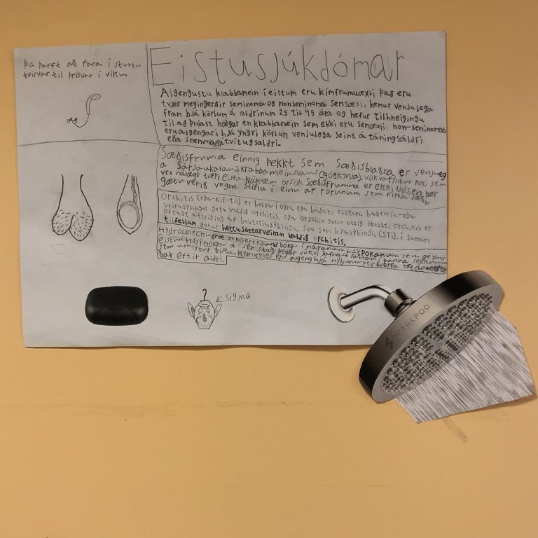 image-20240304-140951-9fe3efb3