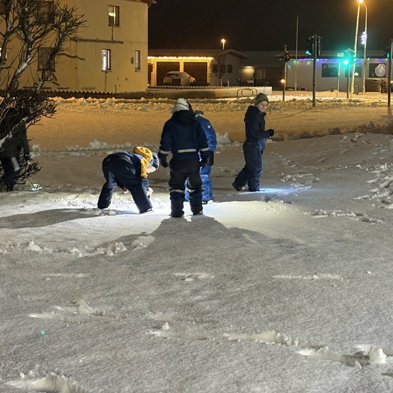 image-20241205-084829-fb839eb0