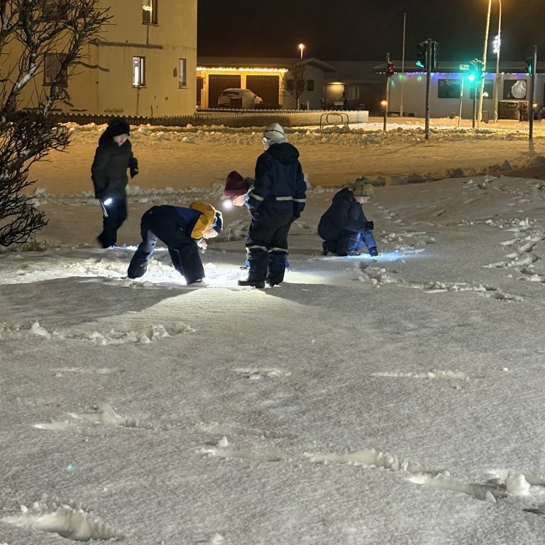 image-20241205-084831-8c2d9015