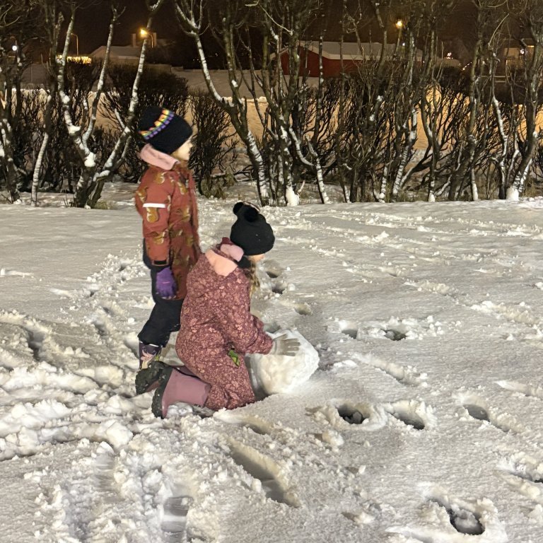 image-20241205-084834-39886c77