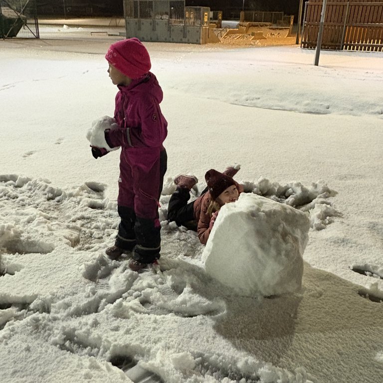 image-20241205-084908-168a76ef