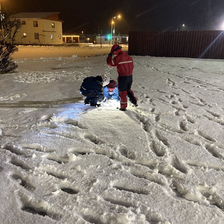 image-20241205-084937-61f6e233