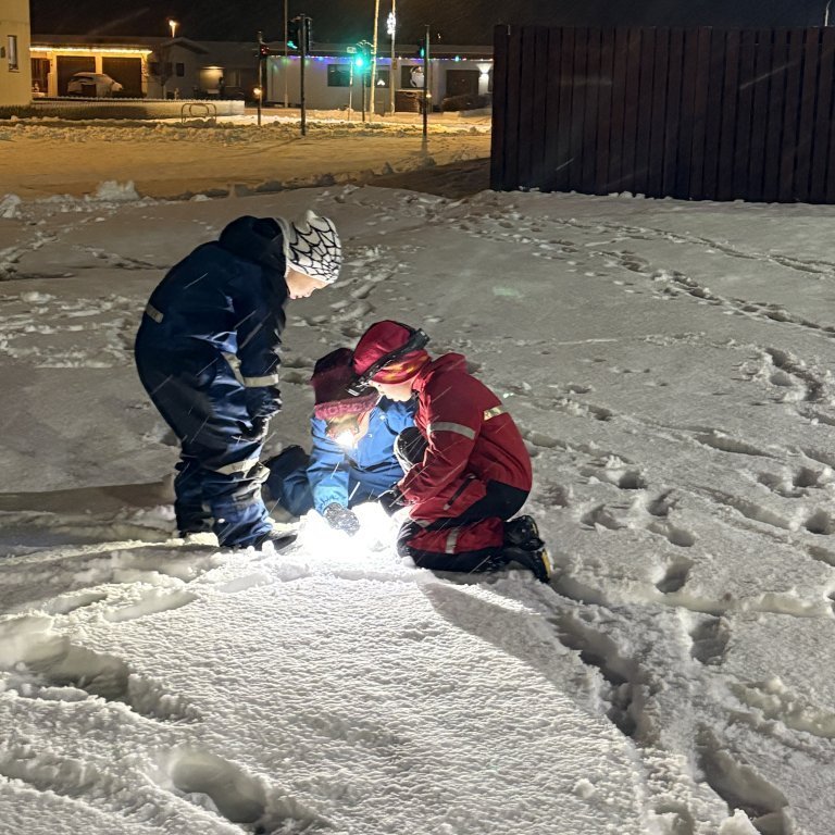 image-20241205-084939-0cc1f4bf