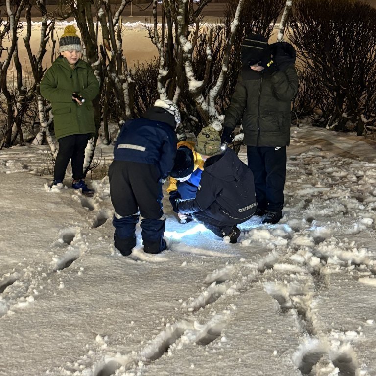 image-20241205-084949-843a8a40