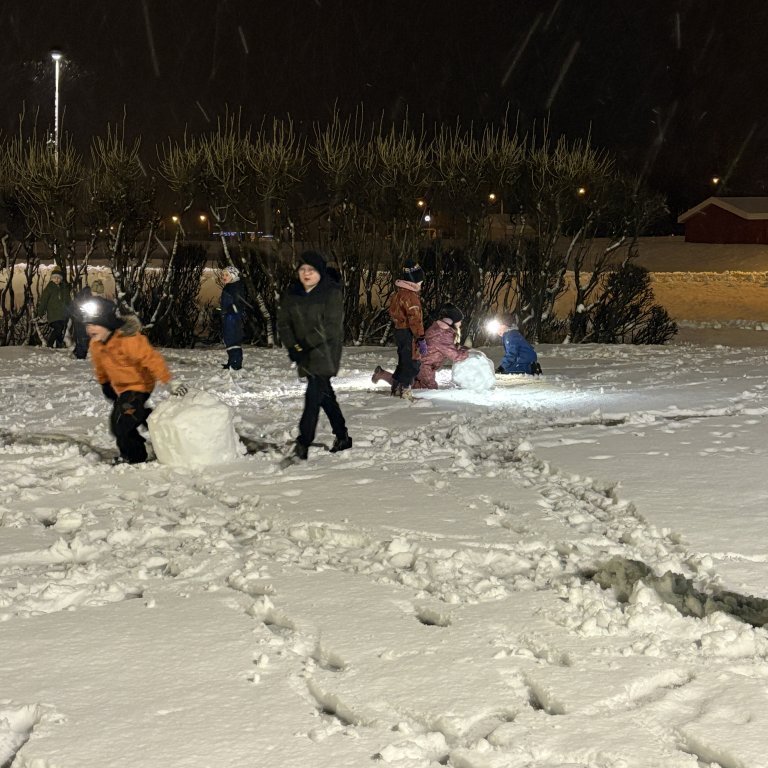 image-20241205-085105-3fabb0a1