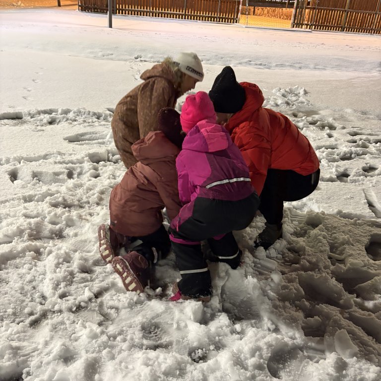 image-20241205-085302-bf226973