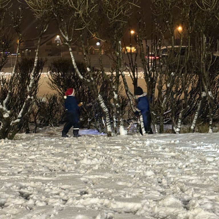 image-20241205-085647-3e8e3a5a