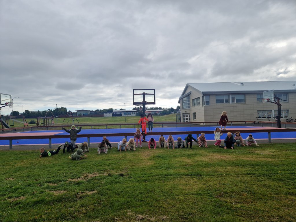 Myndaratleikur 1. bekkur