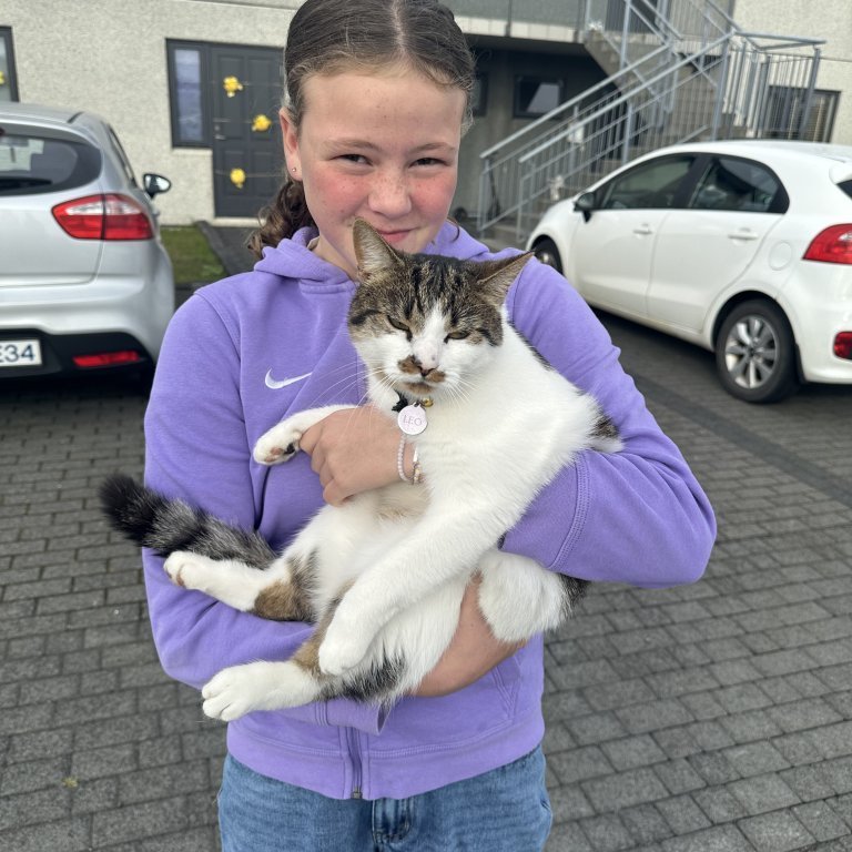 image-20250829-101307-94b3b5e8