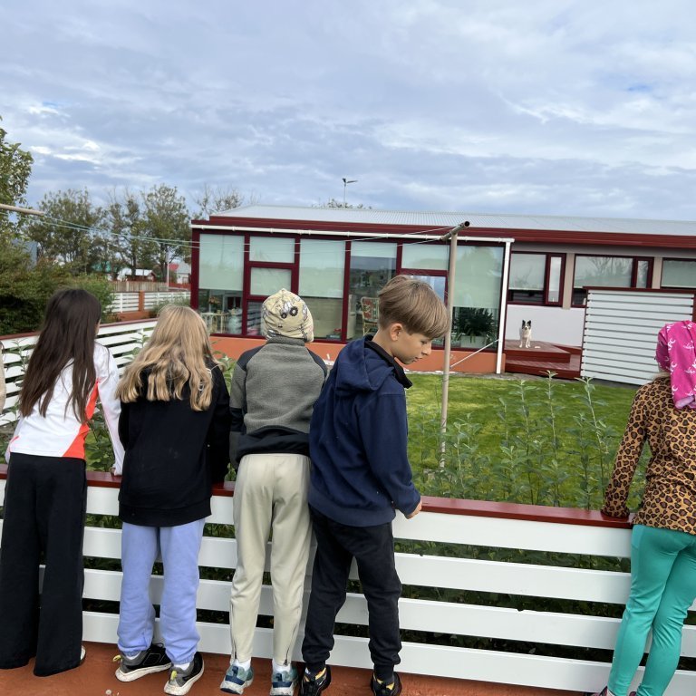 image-20250829-103609-08d37acc