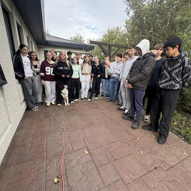 messenger_creation_28865ceb-7539-4a0b-9042-b6b569b56048