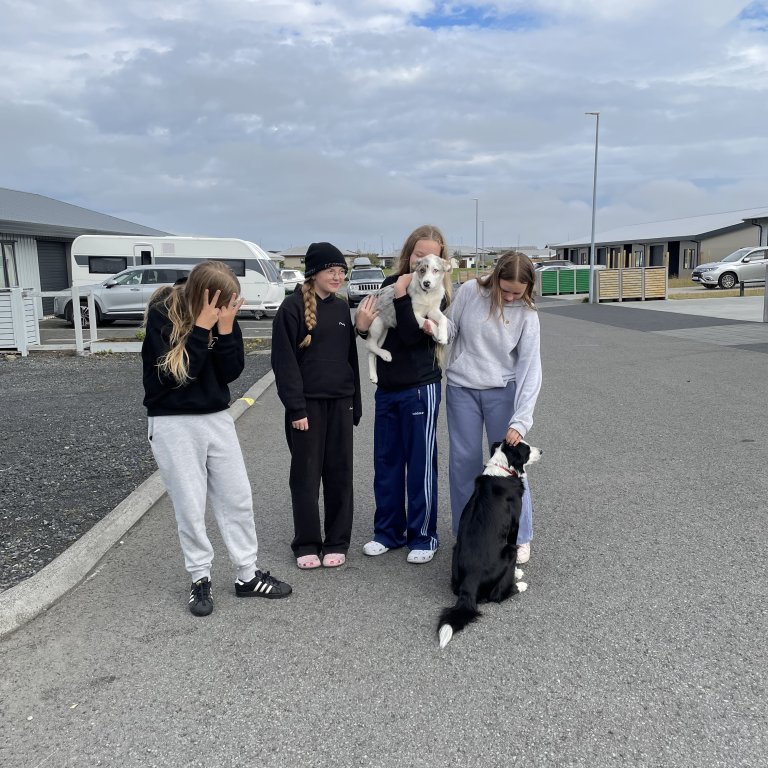 mynd-20250829-1020577af43c18