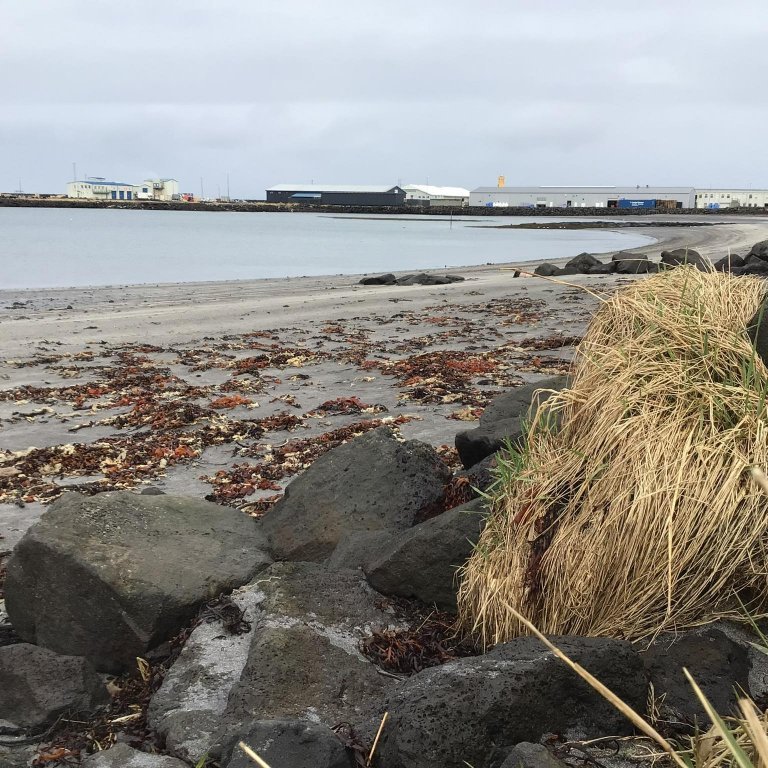 343662623_891356258618904_5215874009866631232_n