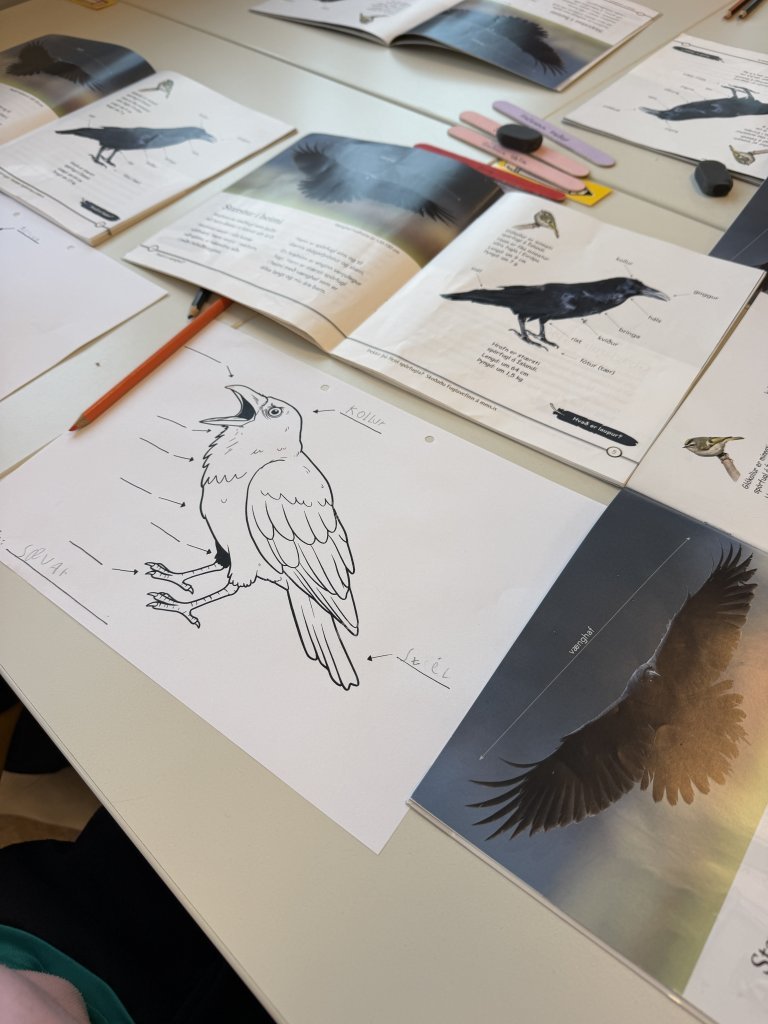 Nemendur könnuðu heim hrafnsins