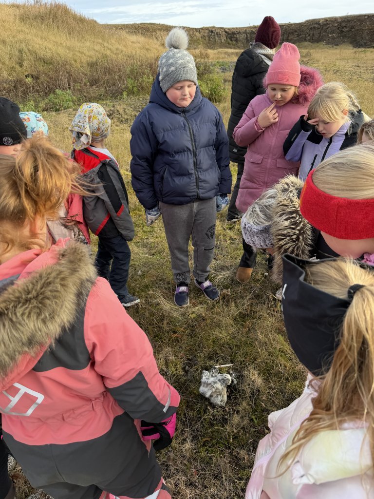 Nemendur könnuðu heim hrafnsins