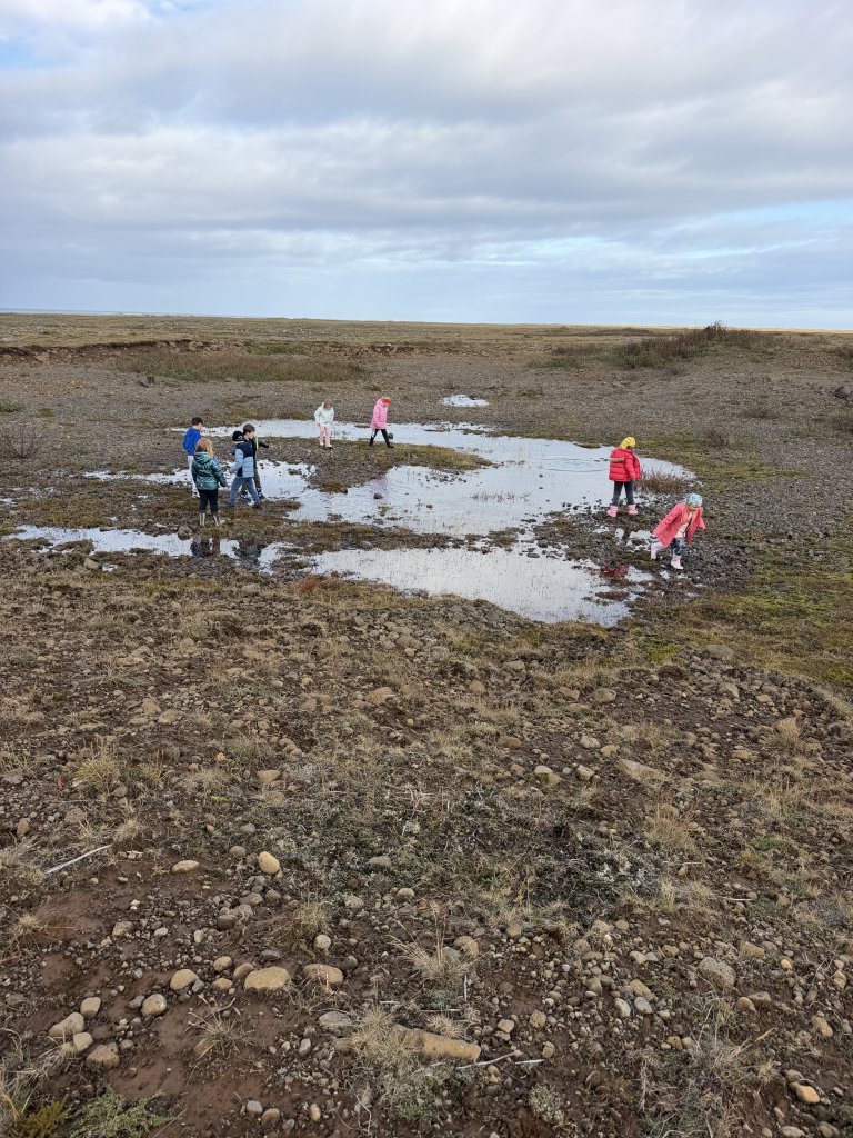 Nemendur könnuðu heim hrafnsins
