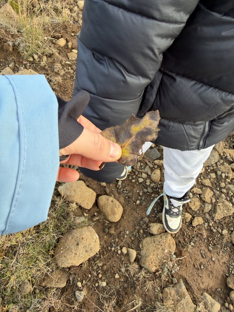 Nemendur könnuðu heim hrafnsins