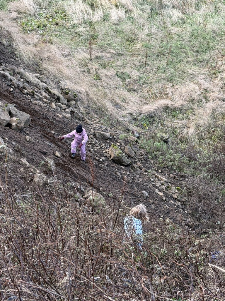 Nemendur könnuðu heim hrafnsins