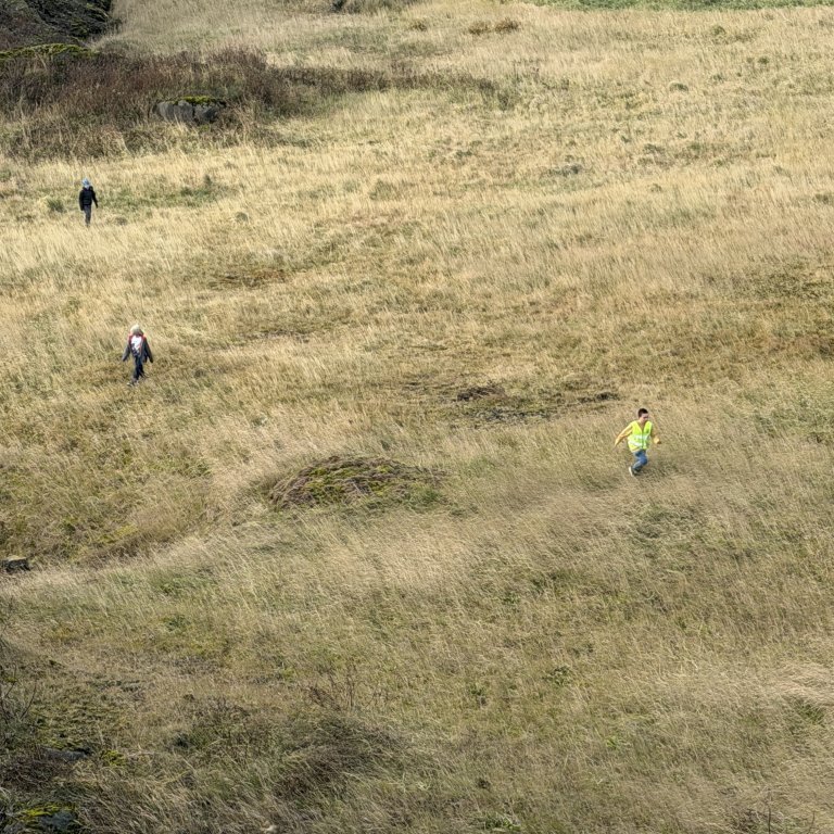 img_7042