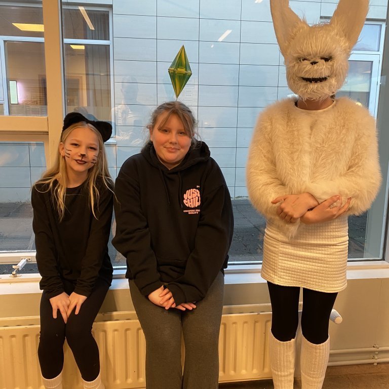 image-20260218-093741-aeceb0c3