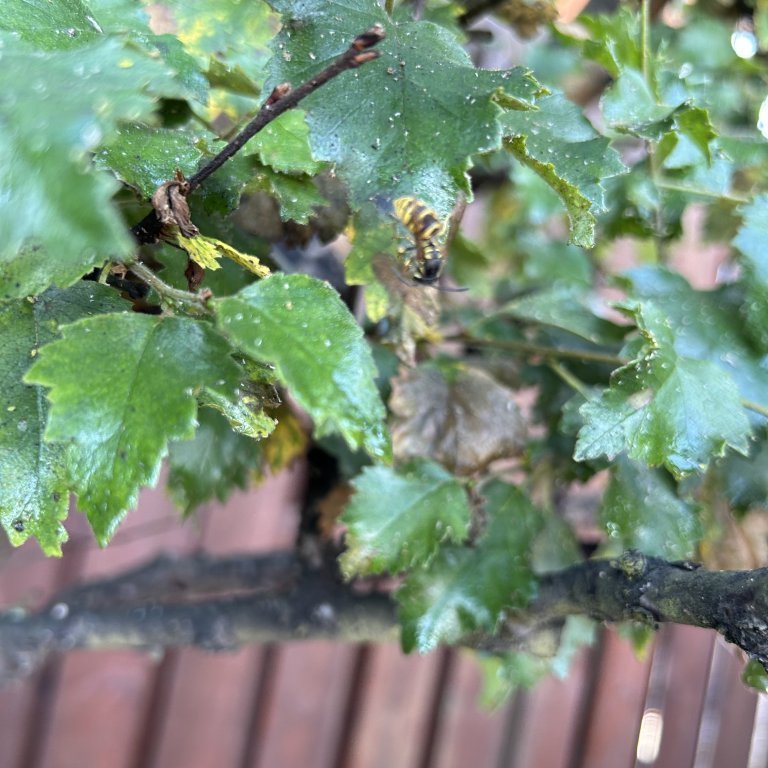 image-20230825-104533-5cf3d86e