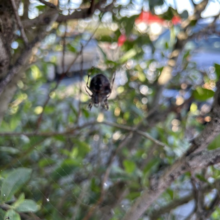 image-20230825-104636-0a24802b